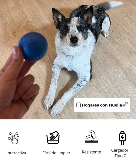 Pelota interactiva recargable